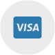 Visa credit card Icon